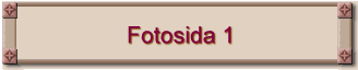 Fotosida 1